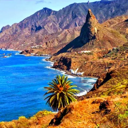 Canela Tenerife